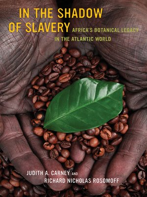 cover image of In the Shadow of Slavery
